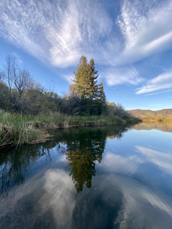 /Images/uploads/Sonoma County Regional Parks Foundation/springlake50/entries/28694thumb.jpg